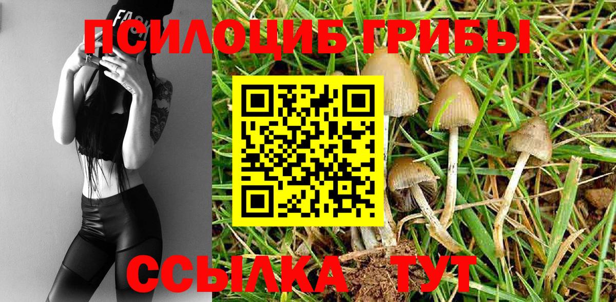 Луховицы  Псилоцибиновые грибы мухоморы  Псилоцибиновые грибы мицелий  Вход с VPN 