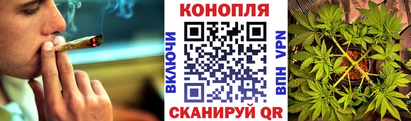 маркетплейс клад  Луховицы  Бошки марихуана OG Kush 